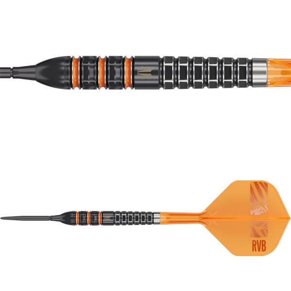 Raymond van Barneveld RVB 95K 95% SP 25 gram